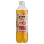Viwa vitamin vz Body Protection 600ml
