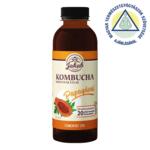 Kombucha koncentrtum papays 500ml